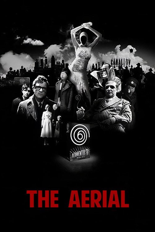 Movie poster for The Aerial (2007)