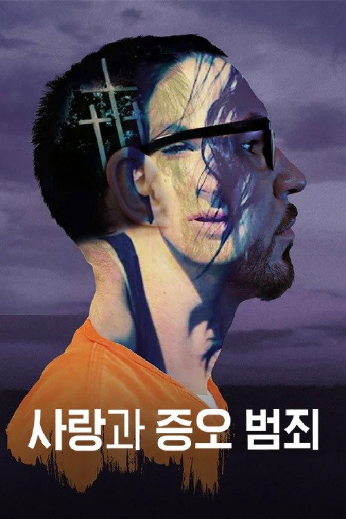 사랑과 증오 범죄 poster