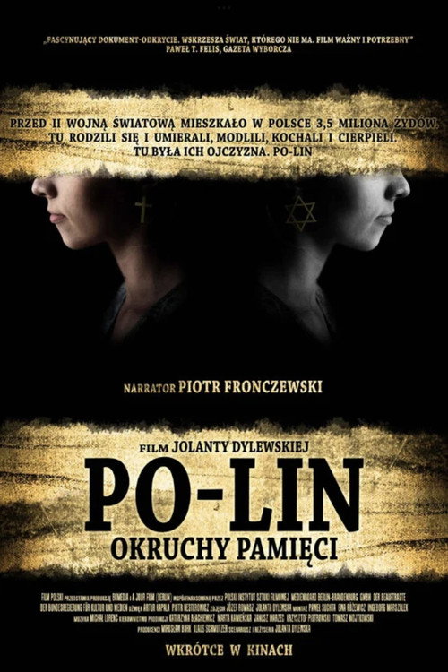 Movie poster for Po-lin. Shards of Memory (2008)
