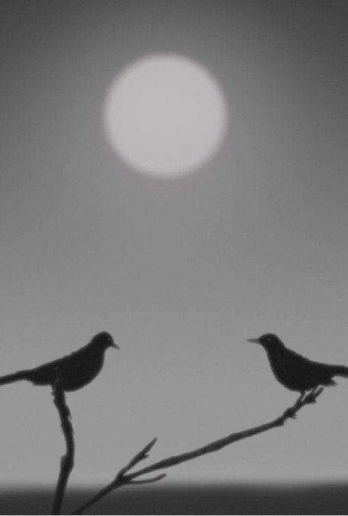 Movie poster for Birdsong (2023)