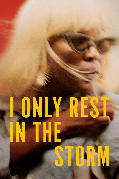 Movie poster for I Only Rest in the Storm (2025)