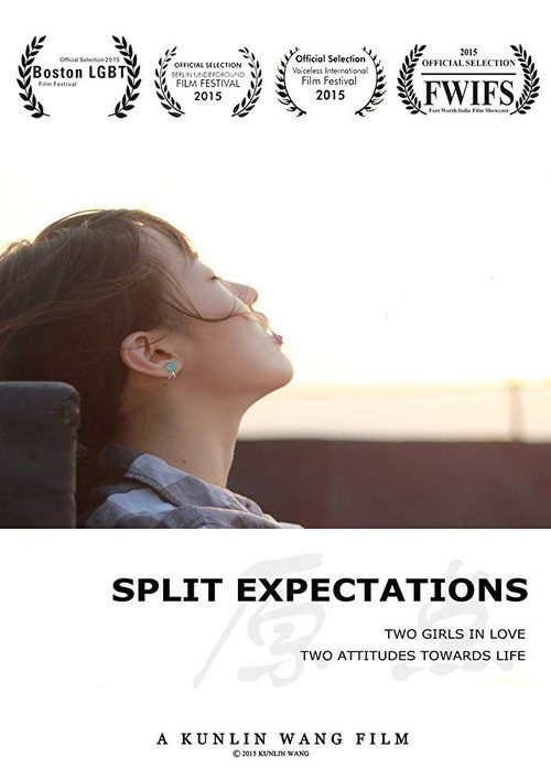 Movie poster for Split Expectations (2014)
