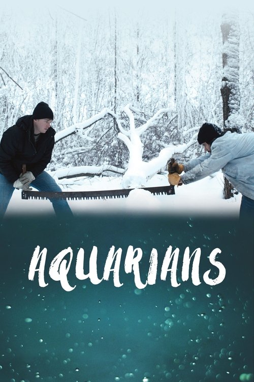 Movie poster for Aquarians (2017)