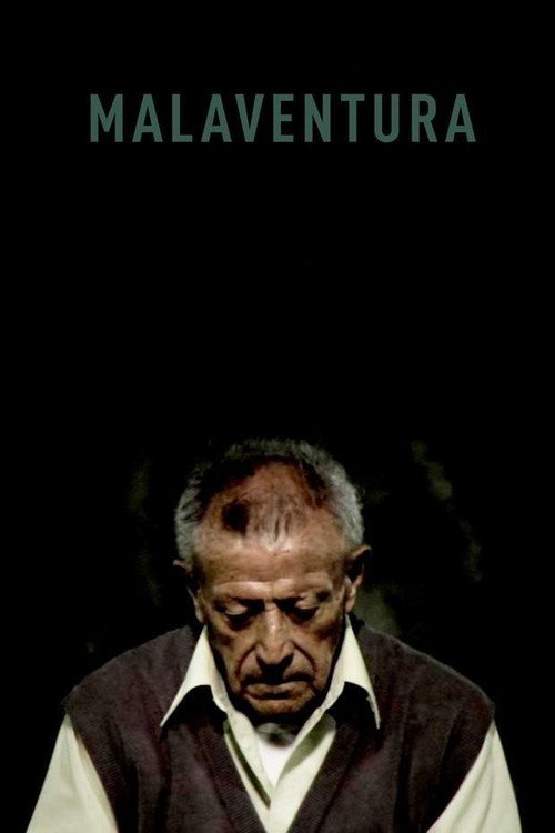 Movie poster for Malaventura (2011)
