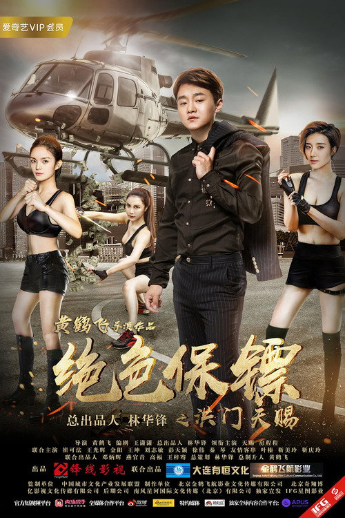 Movie poster for Stunning Bodyguard (2017)