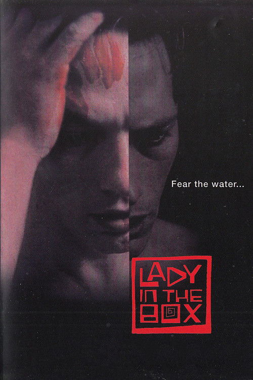 Lady in the Box poster