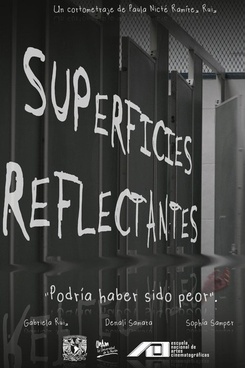 Movie poster for Reflective Surfaces (2025)