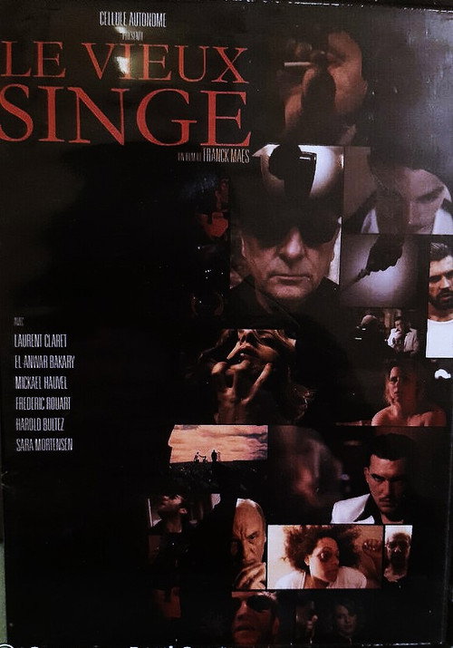 Movie poster for Le Vieux Singe (2012)