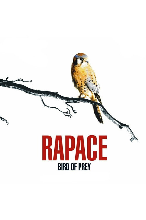 Movie poster for Bird of Prey (2006)