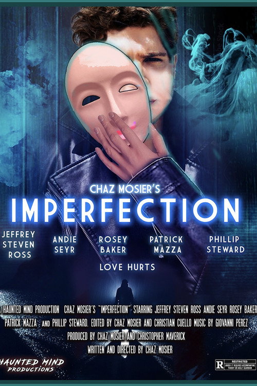 Movie poster for Imperfection (2024)