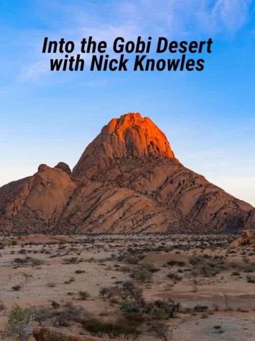 Into the Gobi Desert with Nick Knowles poster