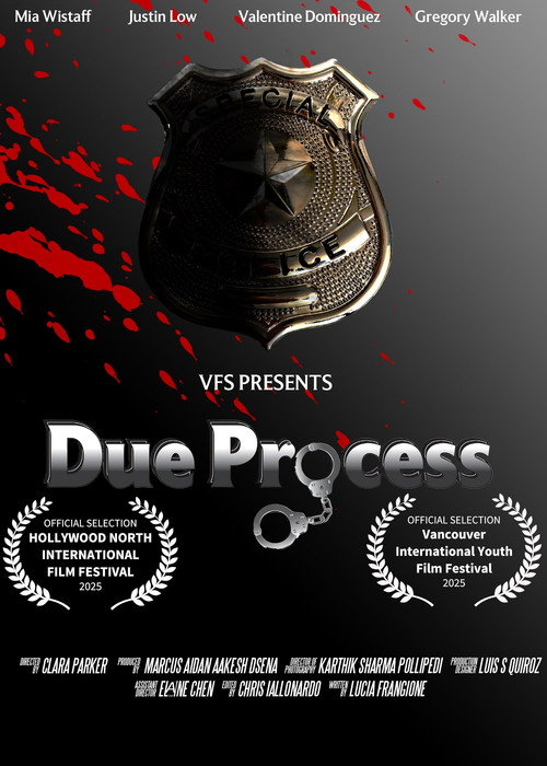Movie poster for Due Process