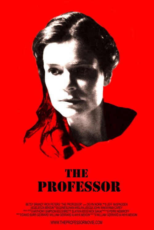 Movie poster for The Professor (2013)