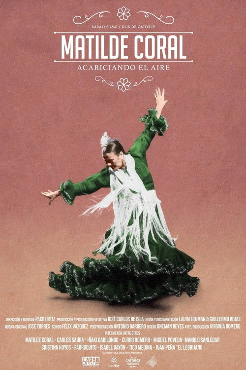 Movie poster for Matilde Coral, acariciando el aire (2016)