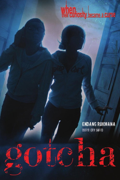 Movie poster for Gotcha (2006)
