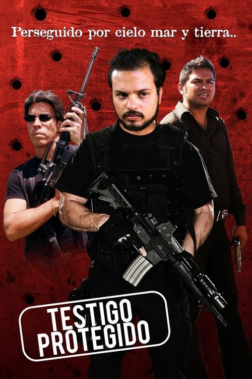 Movie poster for Testigo Protegido (2013)