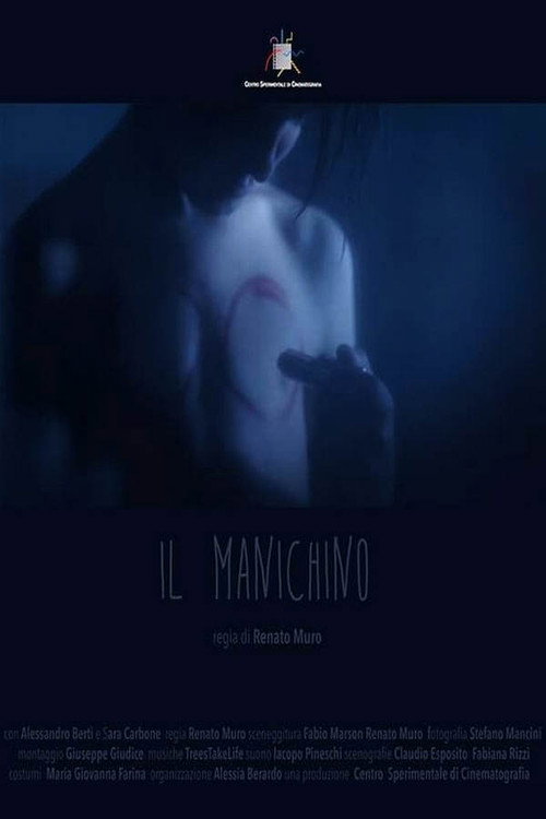 Movie poster for The Mannequin (2015)