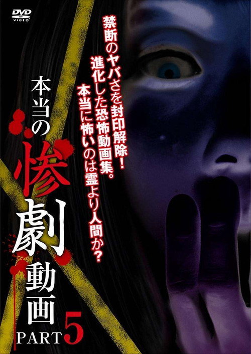 Movie poster for Real Tragedy Video 5 (2013)