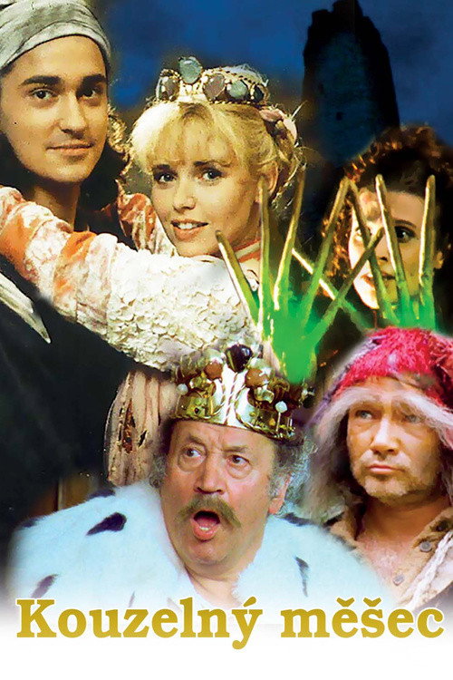 Movie poster for The Magic Book (1996)