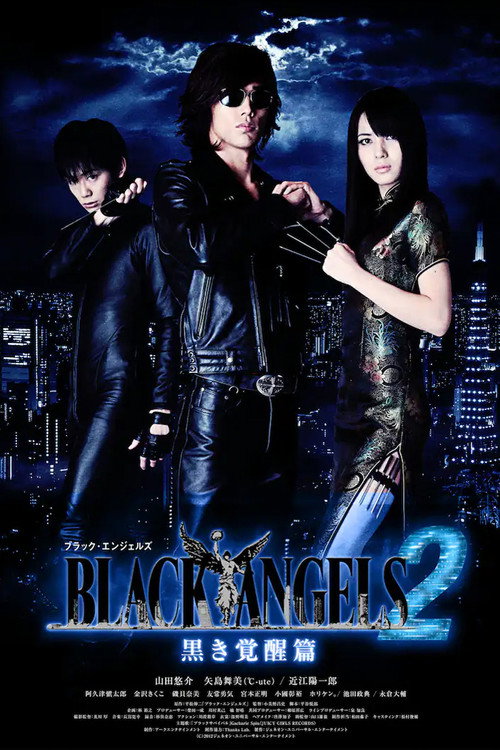 Movie poster for Black Angels 2 (2012)