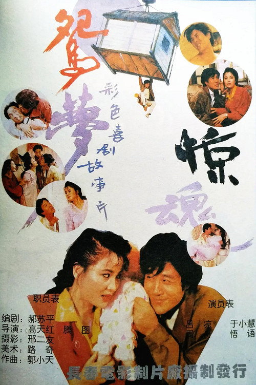 Movie poster for 鸳梦惊魂 (1993)