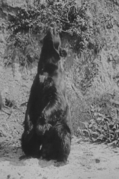 Photo of John Brown, Acting
