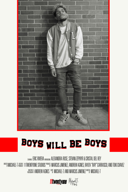 Movie poster for BOYS WILL BE BOYS (2019)