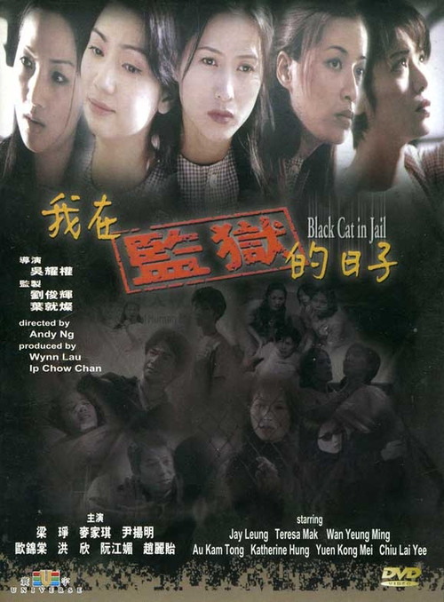 Movie poster for Black Cat in Jail (2000)