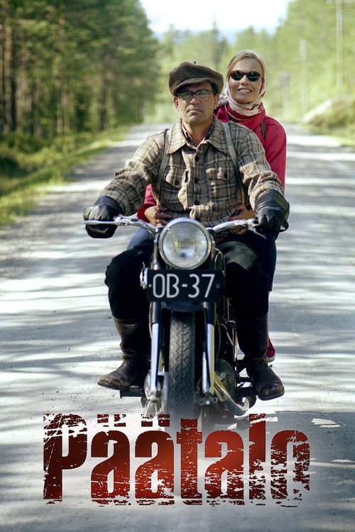 Movie poster for The Novelist (2008)