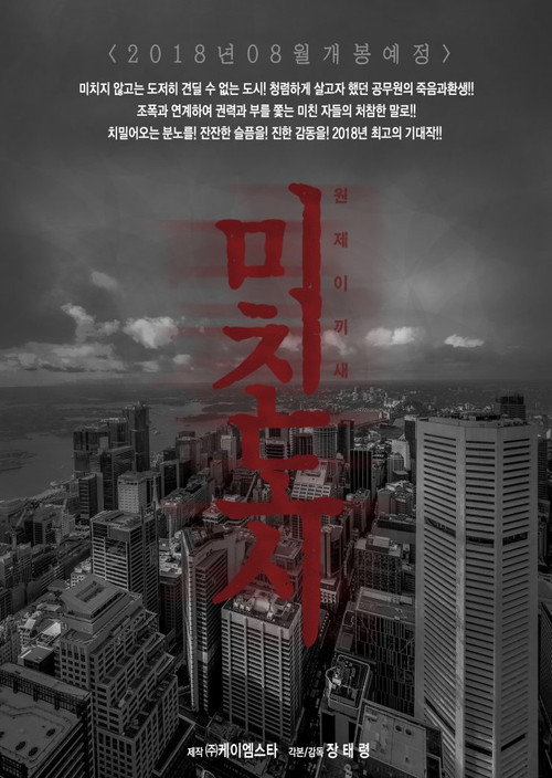 Movie poster for Crazy City (2018)