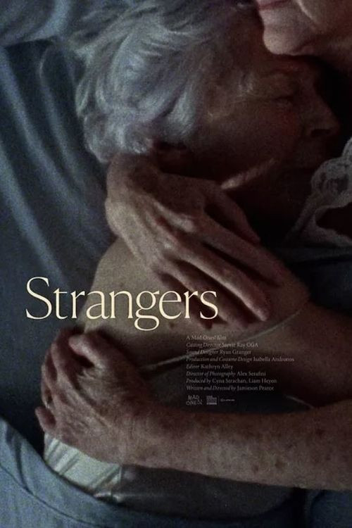 Movie poster for Strangers (2019)
