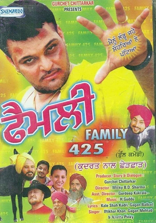 Movie poster for Family 425 (2009)