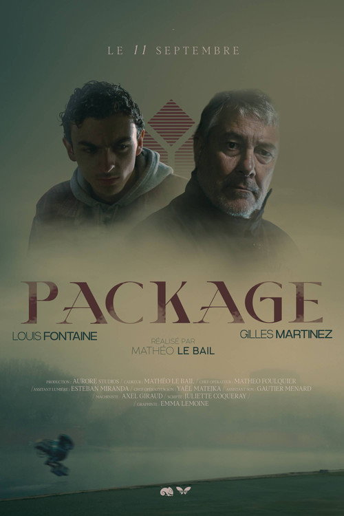 Movie poster for PACKAGE (2023)