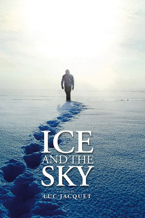 Movie poster for Antarctica: Ice & Sky (2015)