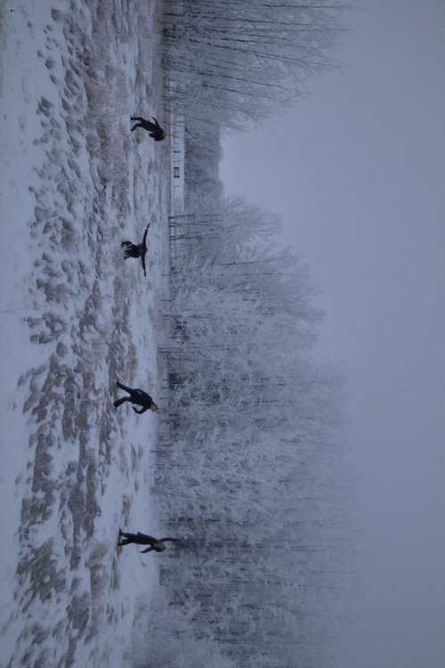 Movie poster for Soft Red Winter