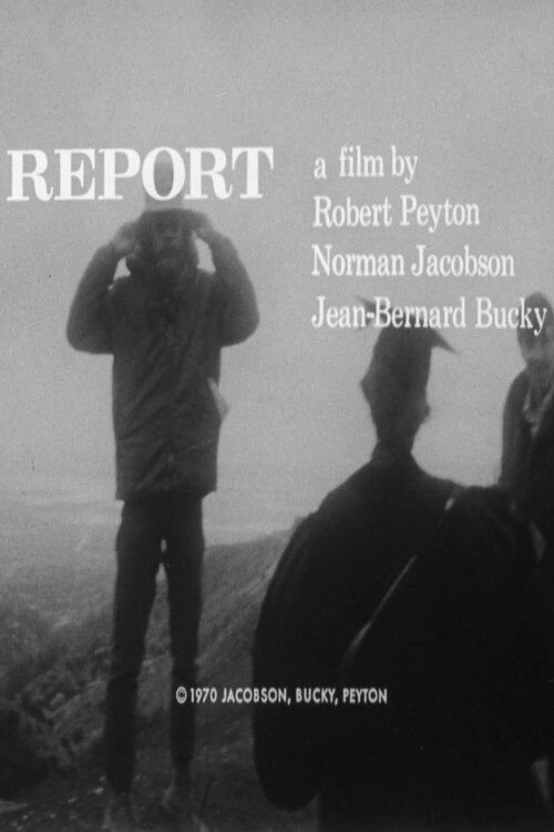 Movie poster for Report (1970)
