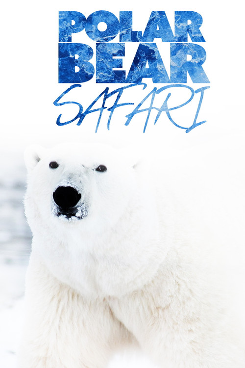 Movie poster for Polar Bear Safari (2000)
