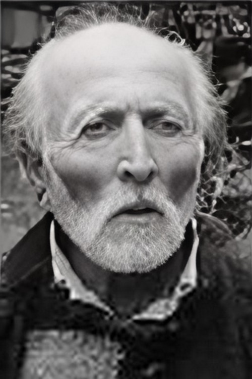 Photo of Valodia Tsuladze, Acting