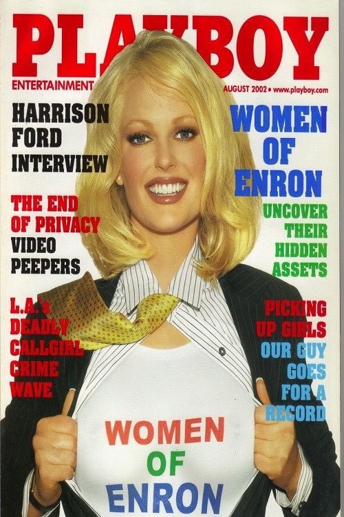 Movie poster for Playboy: Women of Enron (2002)