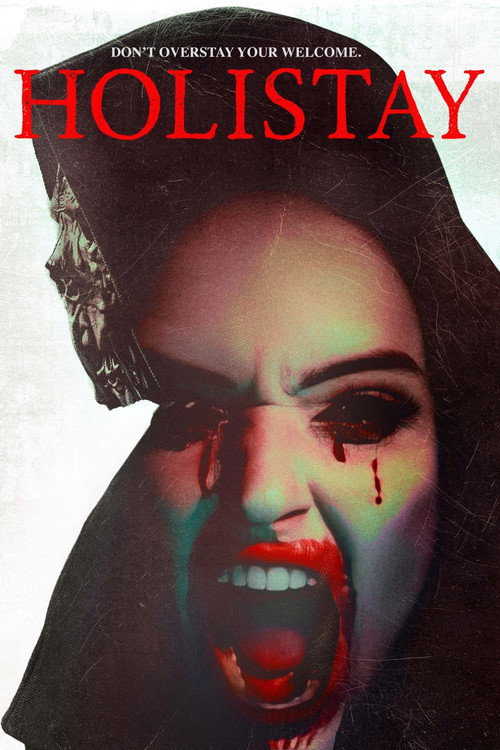 Movie poster for Holistay (2023)