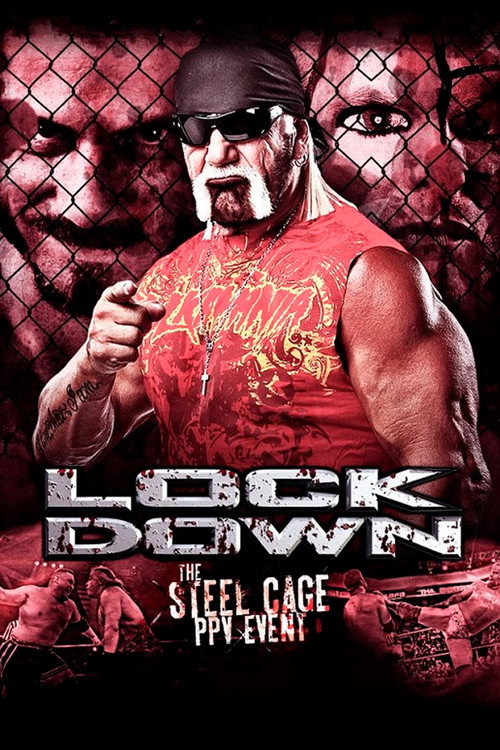 Movie poster for TNA Lockdown 2013 (2013)
