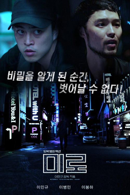 Movie poster for 미로