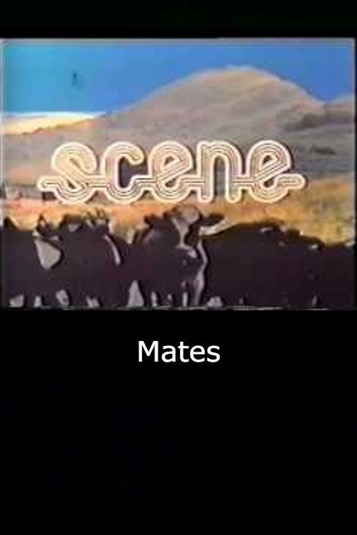 Movie poster for Mates (1971)