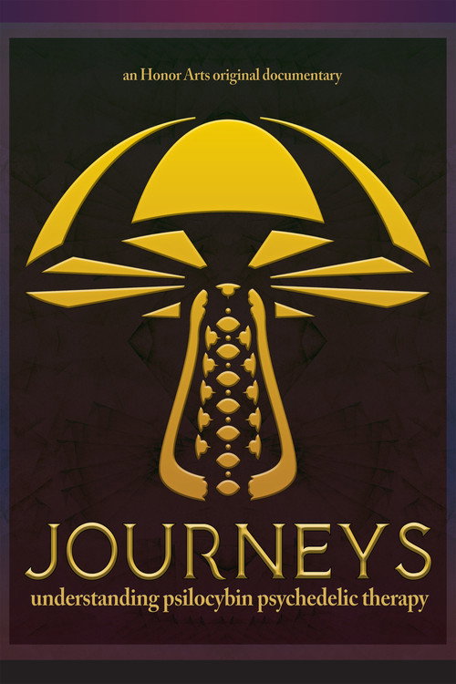 Movie poster for Journeys (2026)