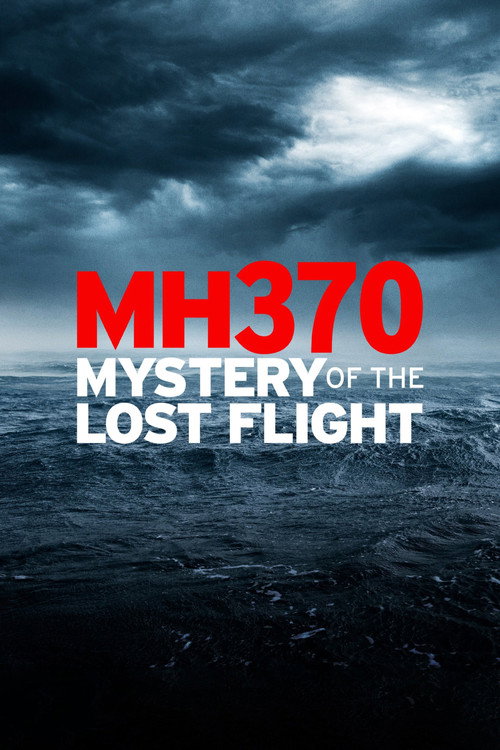 Movie poster for MH370: Mystery of the Lost Flight (2022)