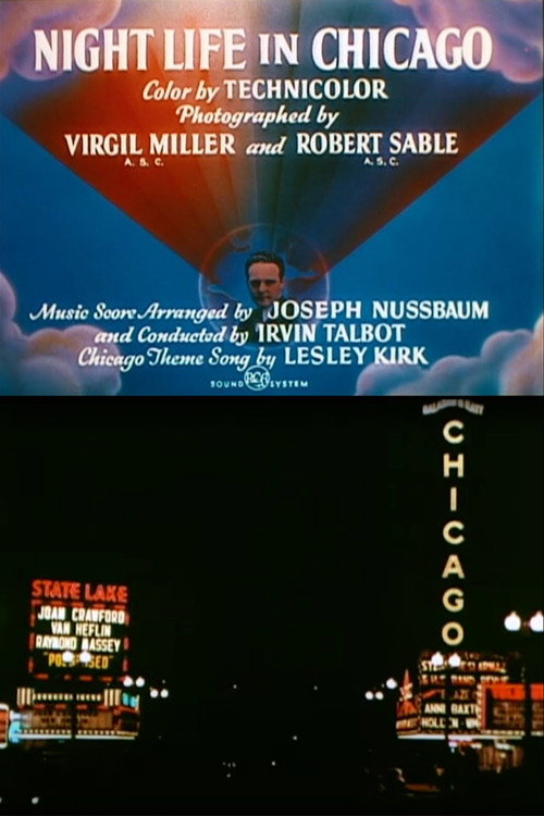 Movie poster for Night Life in Chicago (1948)
