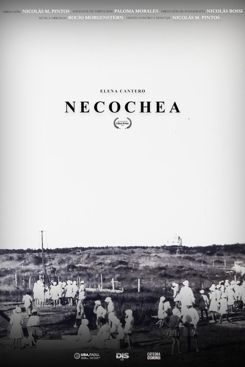 Movie poster for Necochea (2020)
