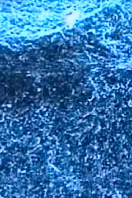 Movie poster for Microscopías (2003)