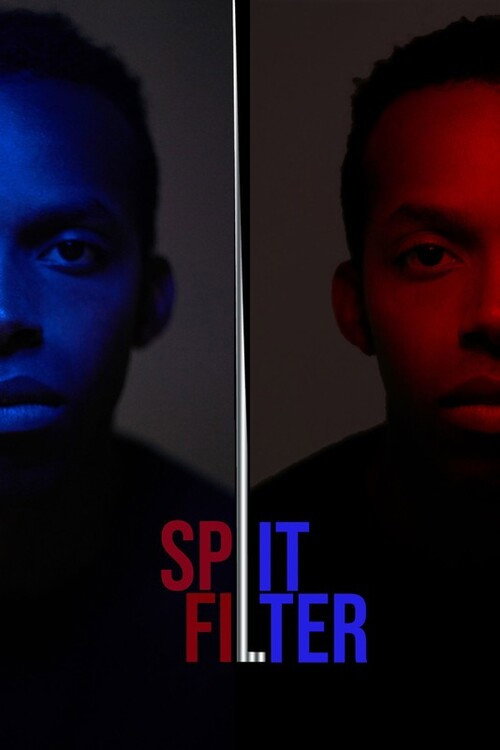 Movie poster for Split|Filter (2020)