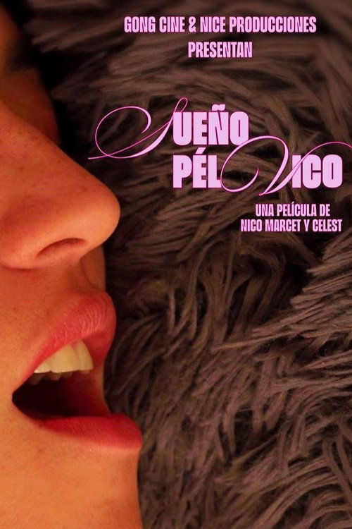 Movie poster for Pelvic Dream (2026)